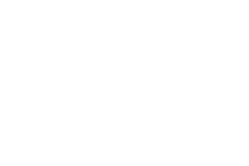 عصام عطون