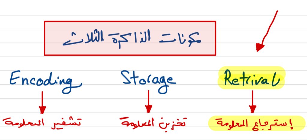 شرح تطبيق انكي للدراسة وعدم النسيان