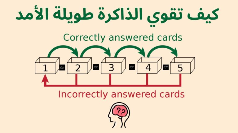 كيف تقوي الذاكرة طويلة الامد